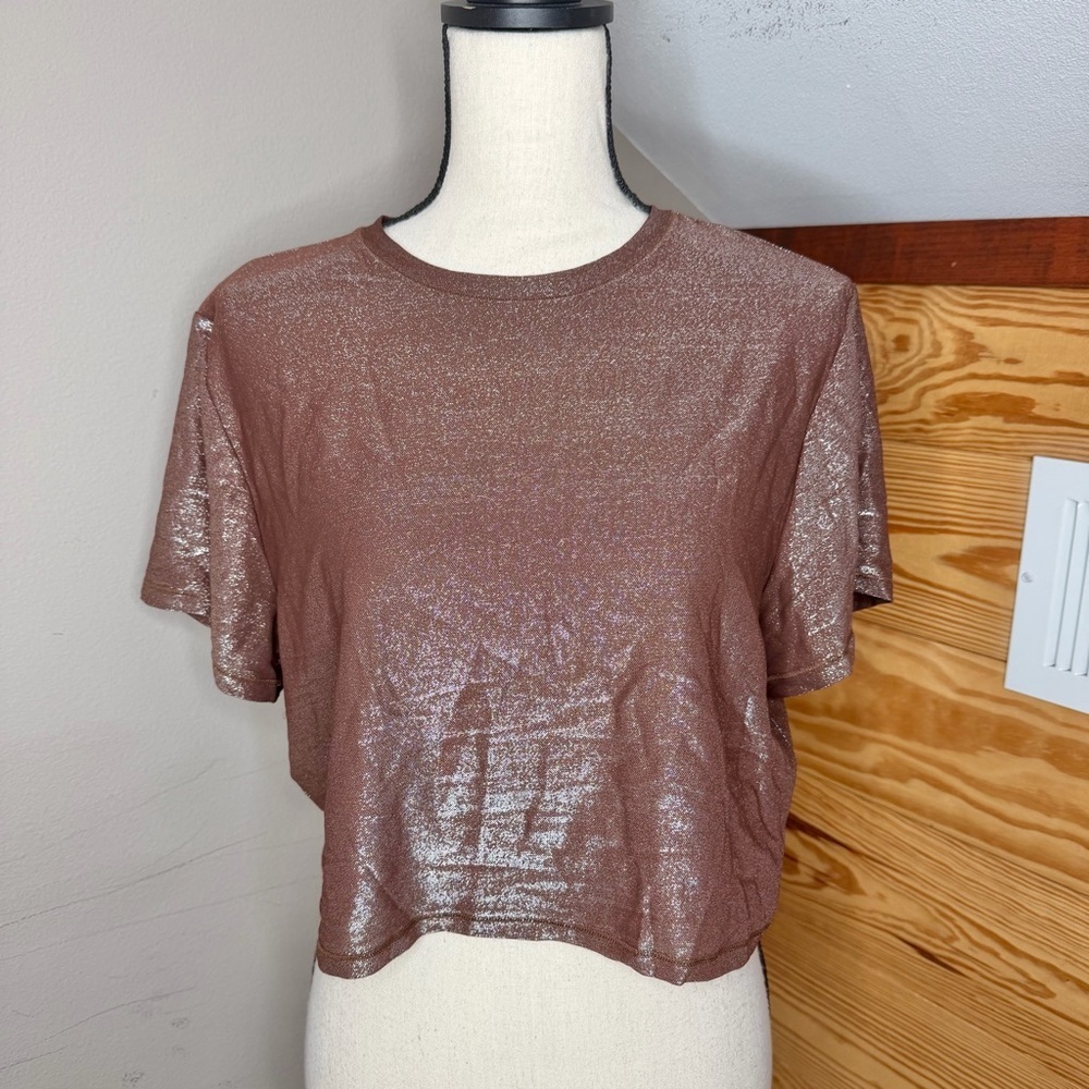 SKIMS Shimmer Crop Top Cocoa Brown 4X Plus Size Metallic Short Sleeve Tee